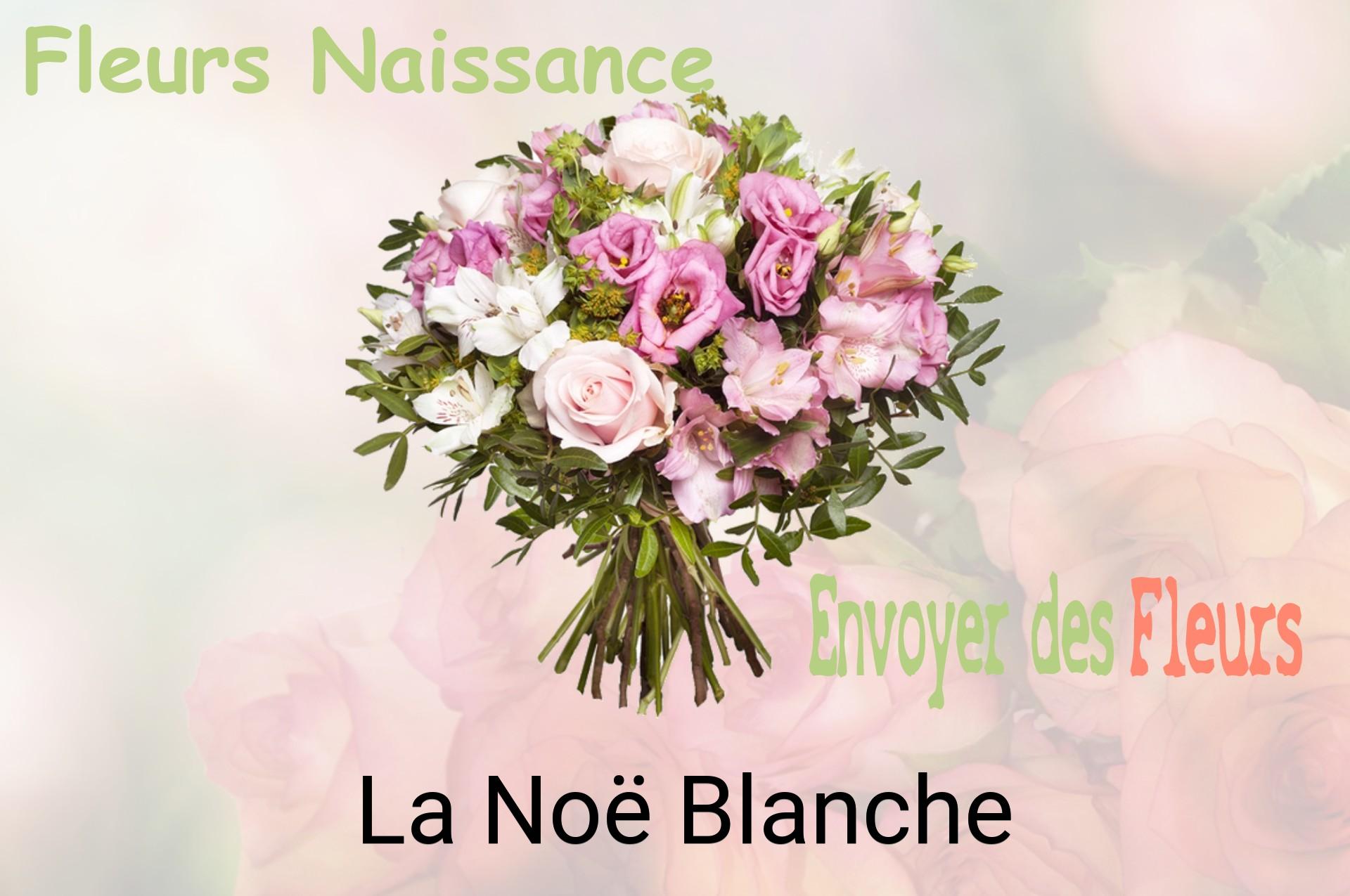 Bouquet de fleurs de naissance livré à La Noë-Blanche