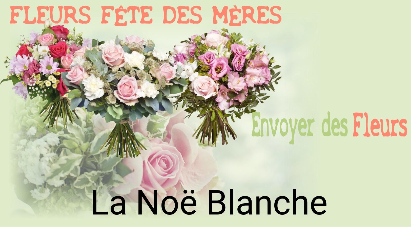 Bouquet de Fête des Mères livré à La Noë-Blanche